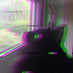 A picture of a black cat looking out of a winder. 
                            It has a glitch effect applied splitting the   
                            red, green and blue channels